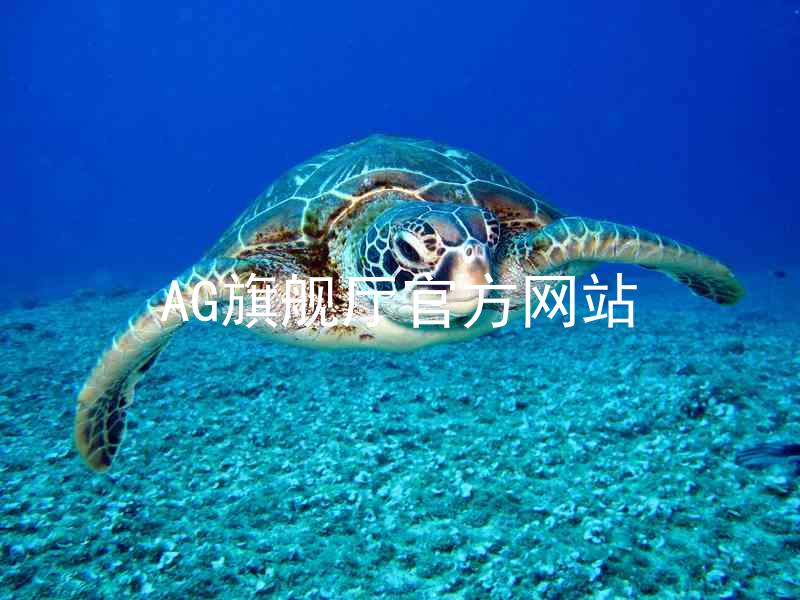 AG旗舰厅官方网站